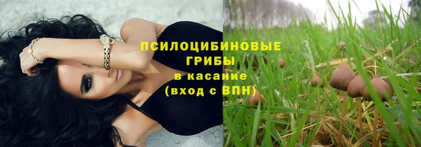 ГАЛЛЮЦИНОГЕННЫЕ ГРИБЫ Ельня